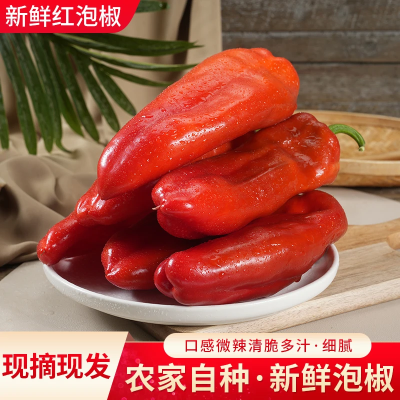 寿光直发红泡椒新鲜绿色农家自种清脆多汁红泡椒现摘现发