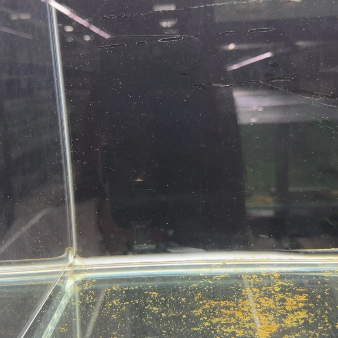 龙***耀慈鲷卡丑mc1848。