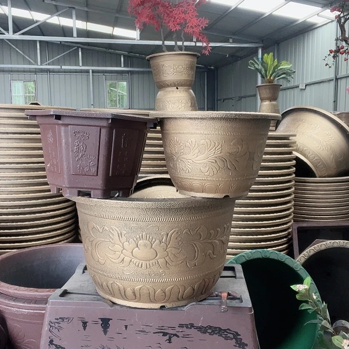 梅花照眼 依然旧风味