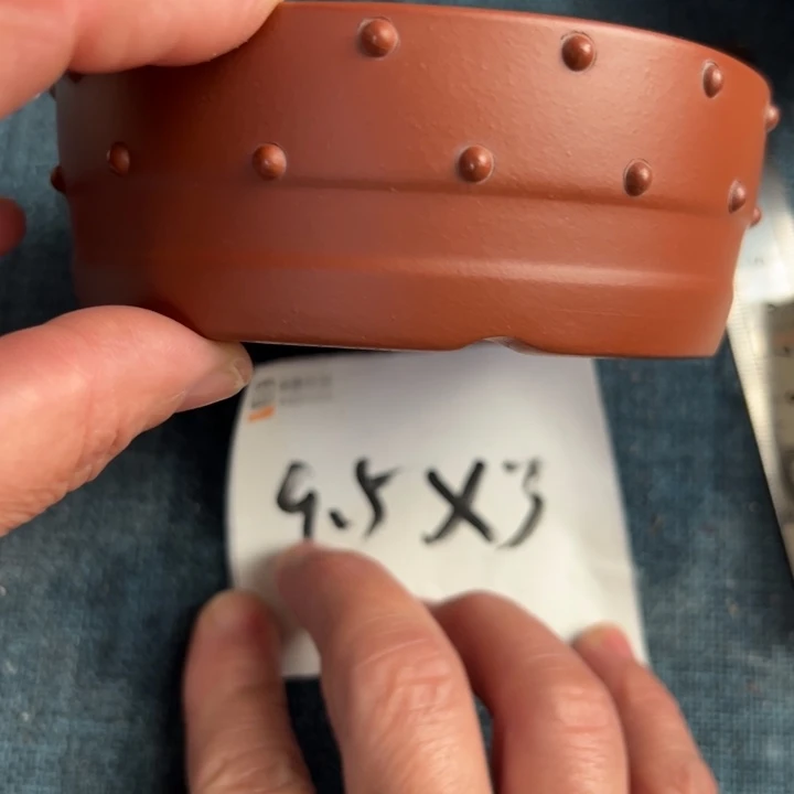 呜呜呜太好看太好看