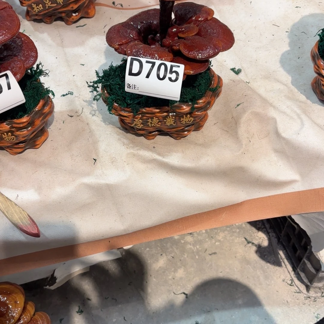 无花朵888888888888888888888