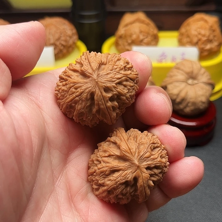 吊坠文玩核桃龙眼全品