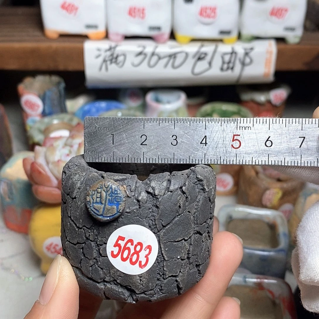 红陶拍5送一个小