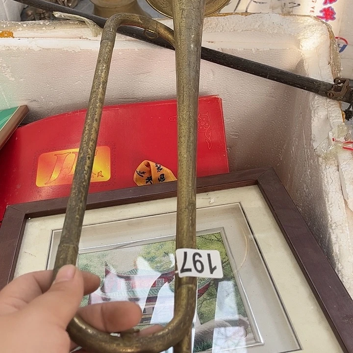 去*8686565868655655