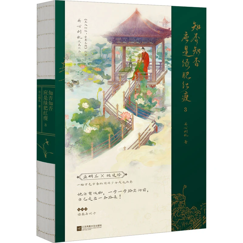 【新华正版】 知否知否应是绿肥红瘦 3 江苏凤凰文艺出版社 关心