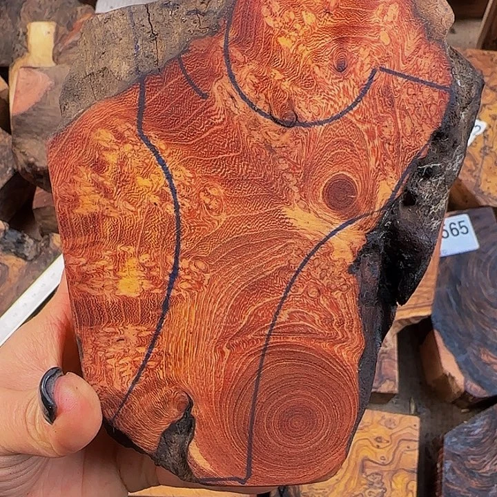 木?*曦小叶羊蹄甲瘤疤料子