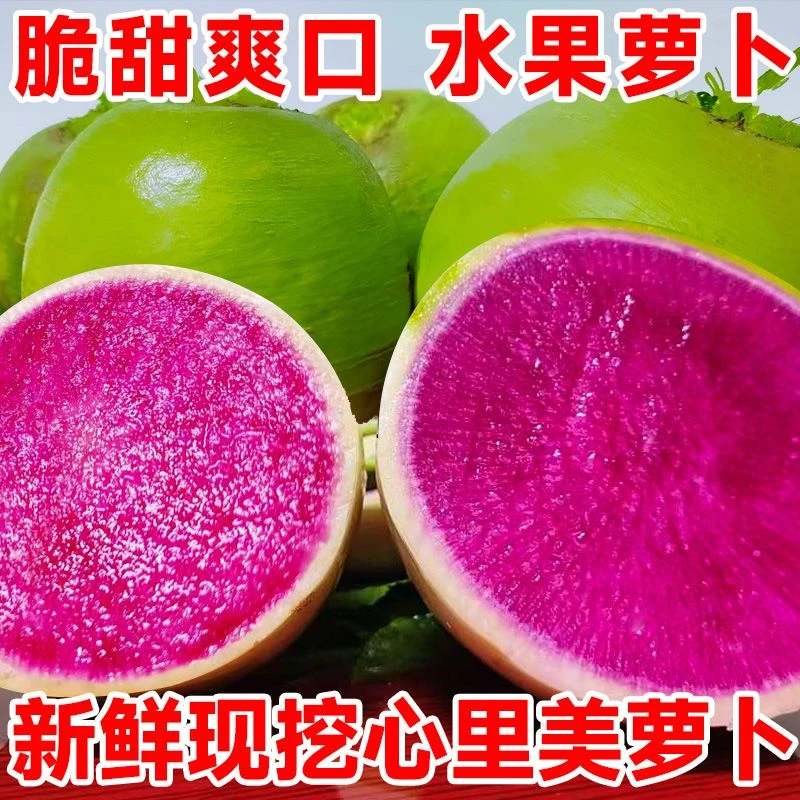 【顺丰】东北心里美萝卜新鲜蔬菜现拔现发大萝卜泡菜生吃凉拌菜雕刻