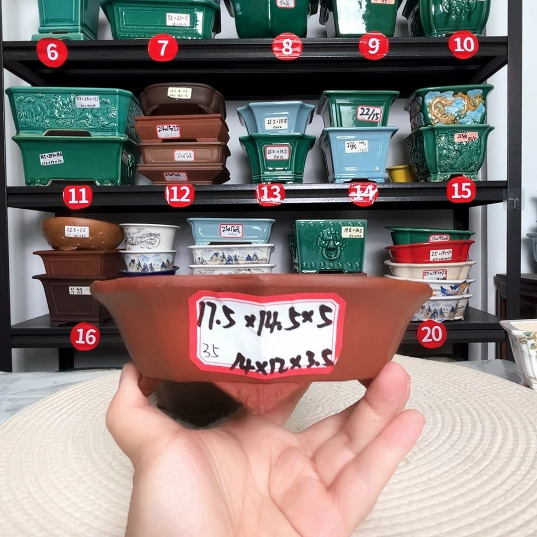 本以为是三分热度，却是十分喜欢