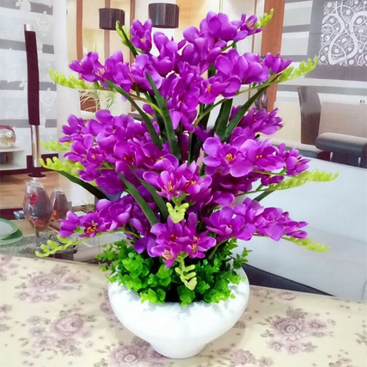 四季南北方种植晚香玉球根重瓣花卉浓香型室内外多年生抗寒好养