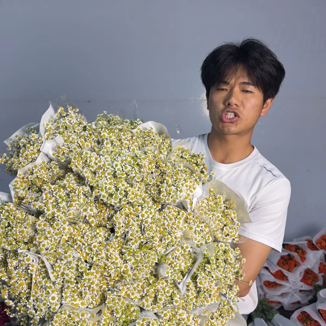 洋甘菊6扎包邮价秒杀