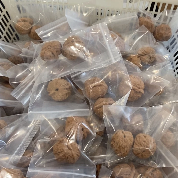 吊坠文玩核桃一帆瑕疵