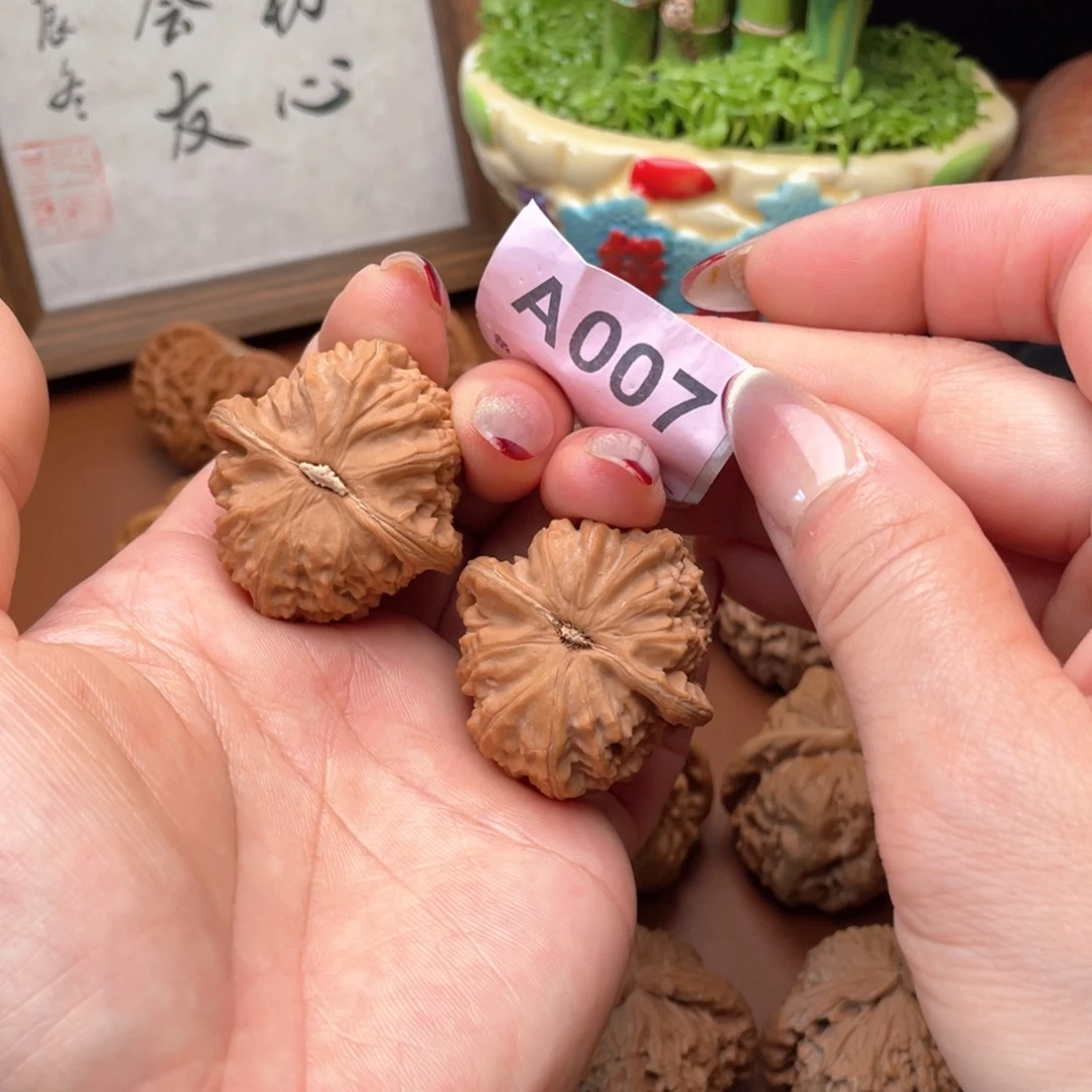 文玩核桃把件白狮子38