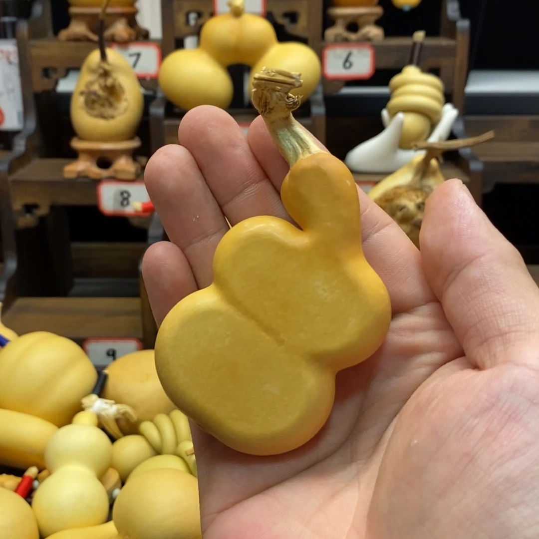 无***飞八宝扁放漏闪电购服务