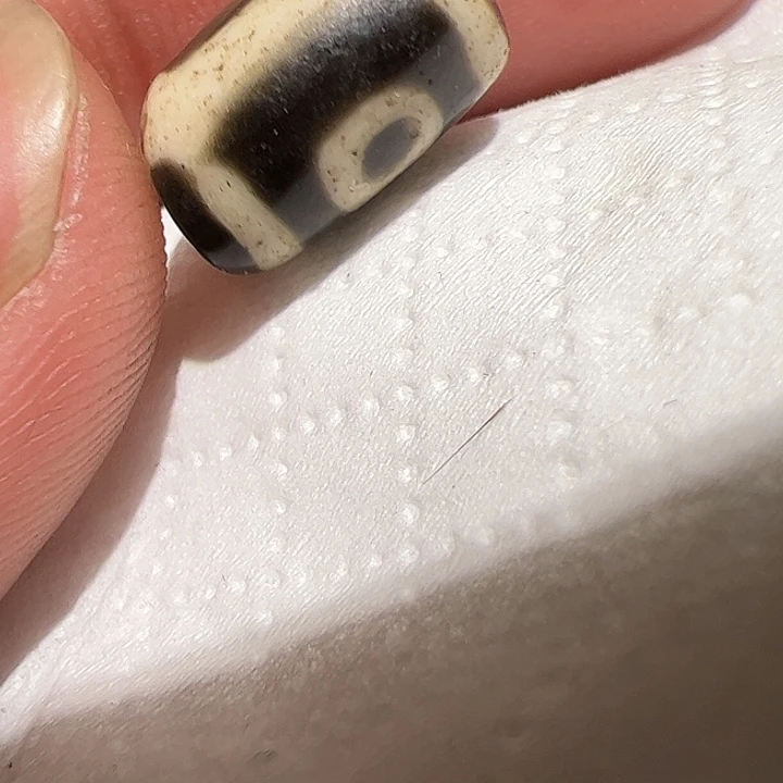 香榧木你是否也有