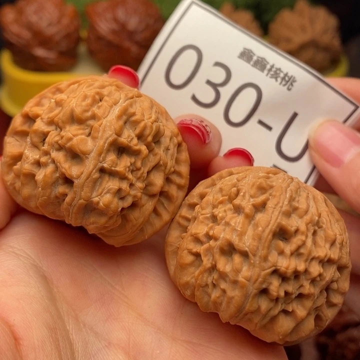 把件桃核白狮子42……