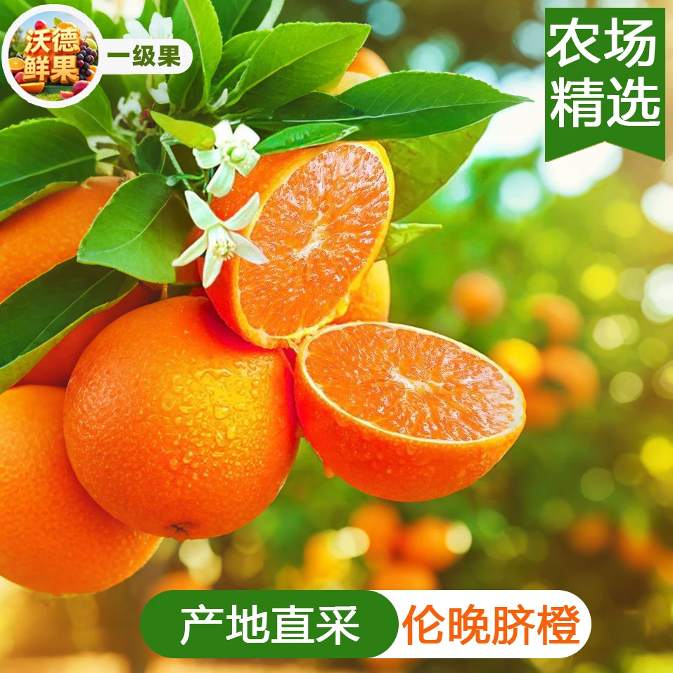【正宗伦晚】秭归产地直采伦晚春橙脐橙带箱5斤新鲜水果橙子鲜甜