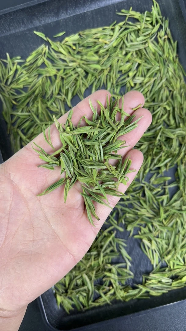 【2025年新茶】安吉原产地安吉白茶清香型兰花香