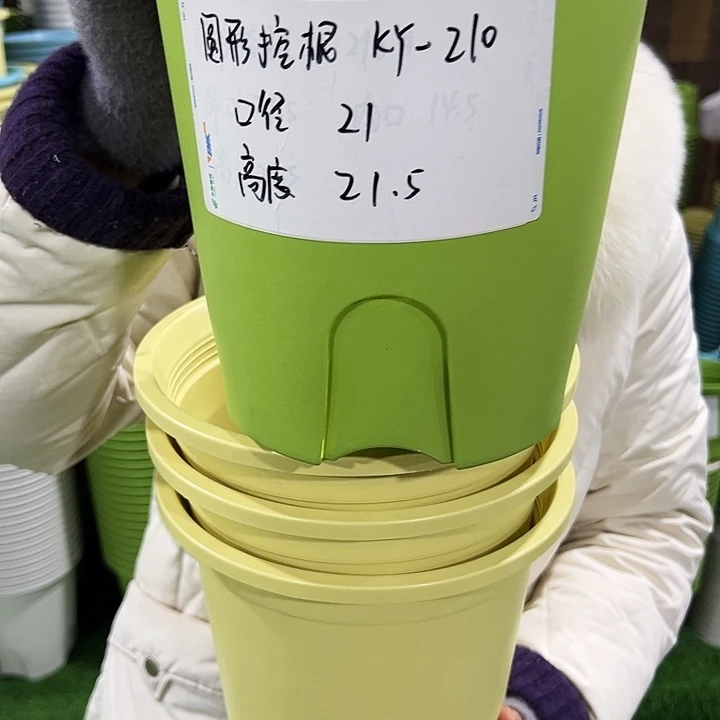 正品圆控口21高21果绿色无托5只