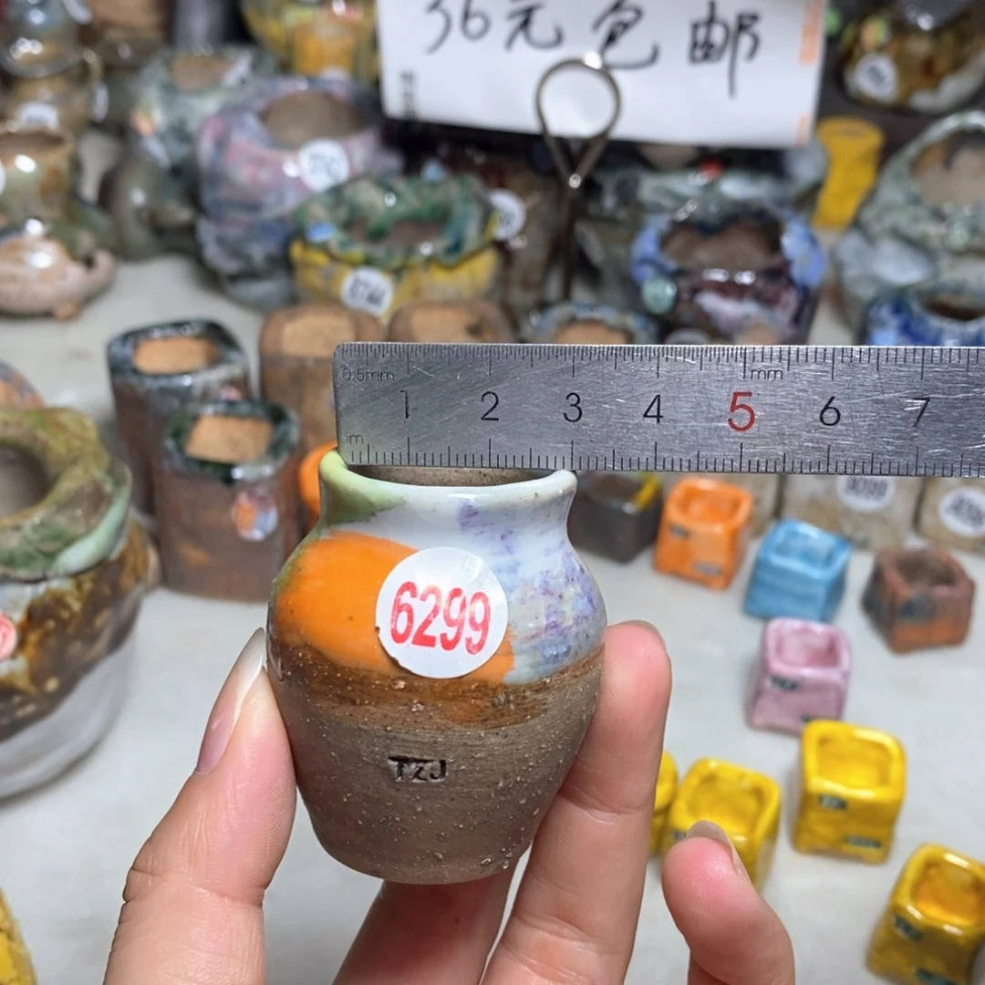 拍5送一个小礼物
