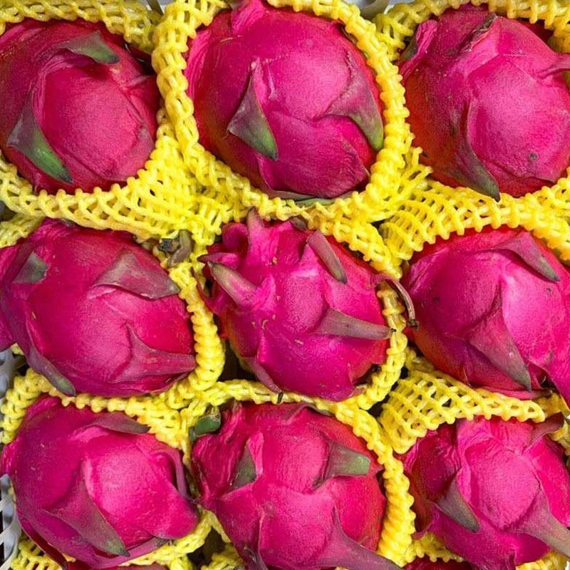 广西【金都一号】原产地正宗火龙果红心新鲜当季热带水果现摘现发r