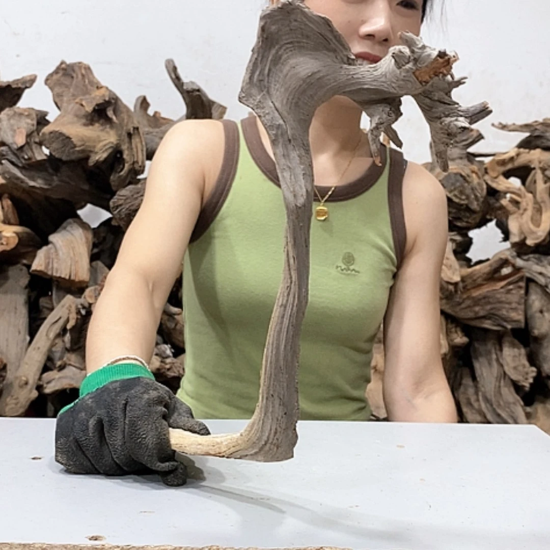 【闪购商品】柏木乐****^我们都在努力着