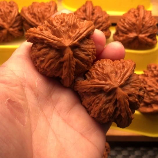 后***士核桃核桃核桃核桃