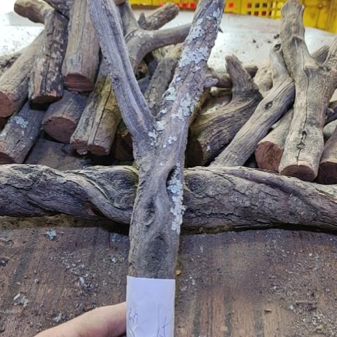 昕***动火琉璃原杈，不保沉水，慎拍！