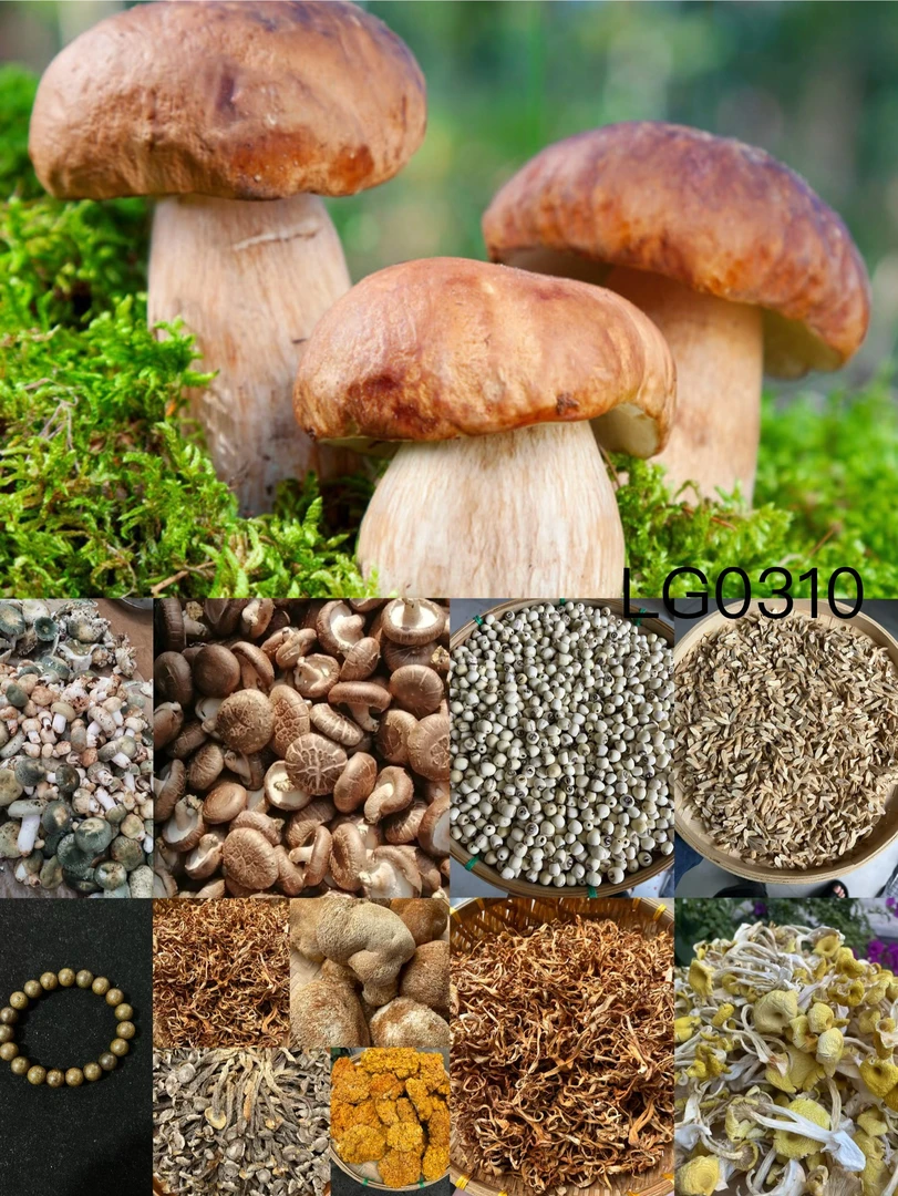 《阿浩专用土特产LG0310》多样性发货 重量12克左右