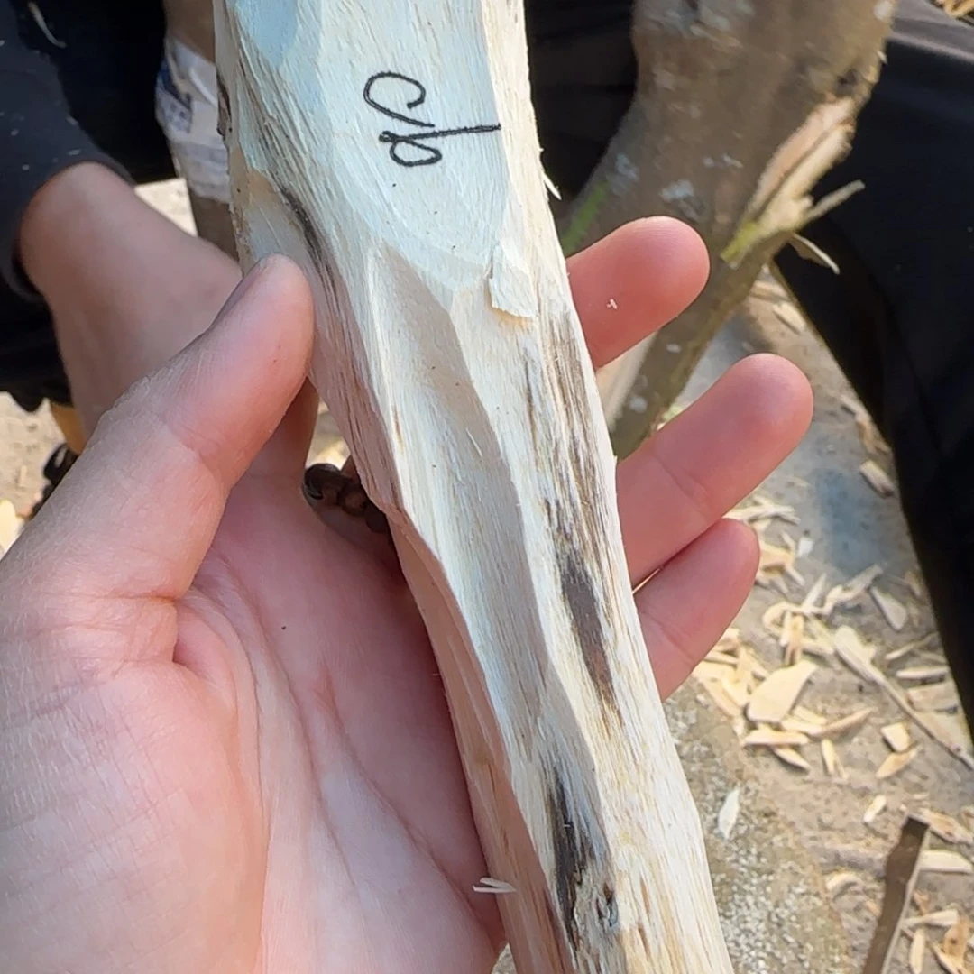 树脂制品90号奇楠原木一个