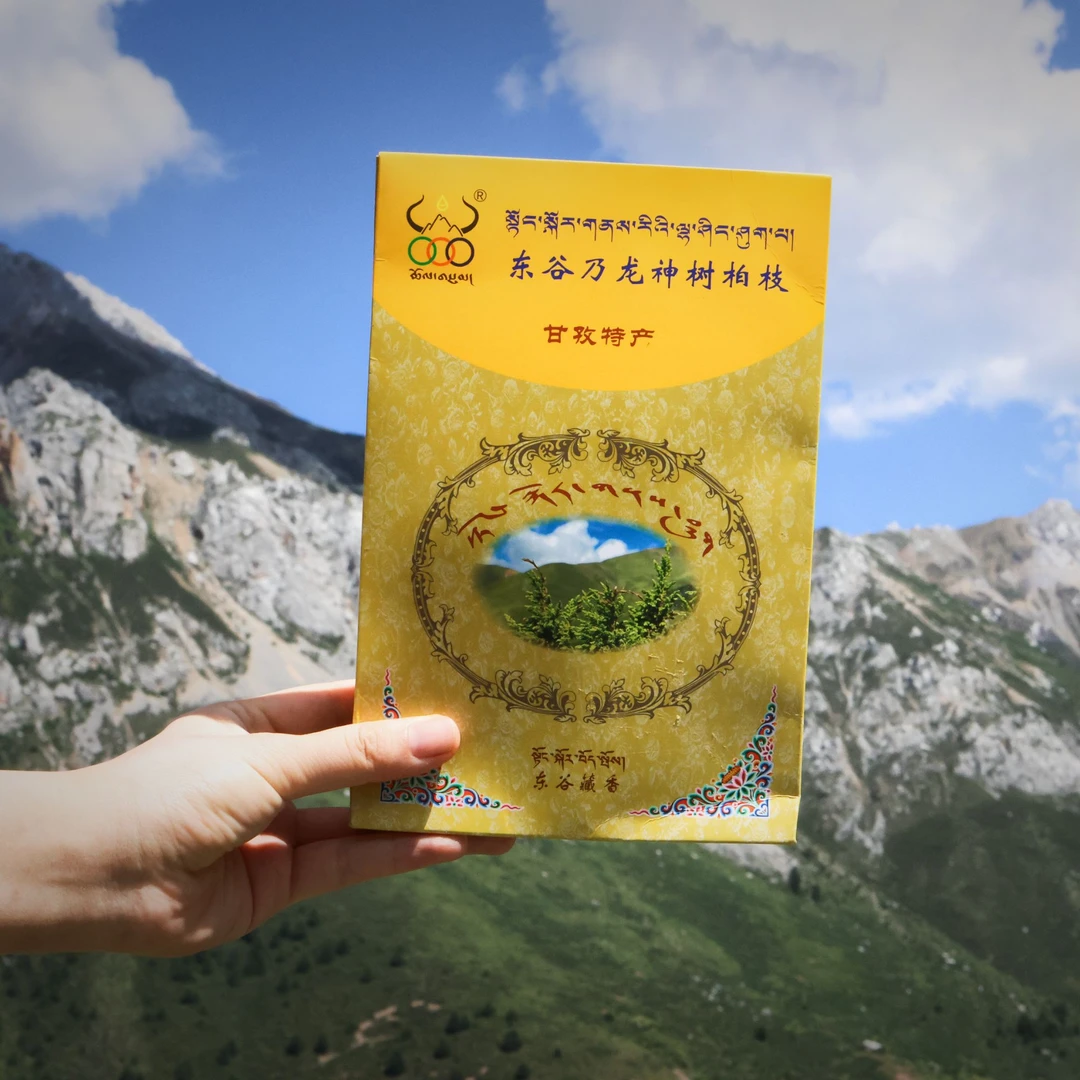 东谷奶龙神山独有圣柏枝粉/防止中风 祛异味净化空气家用