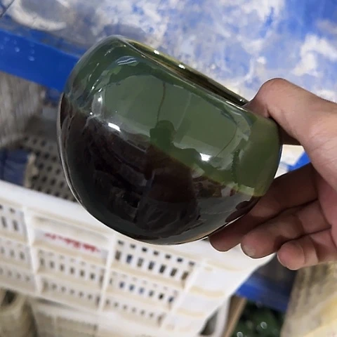 ····全是福利····