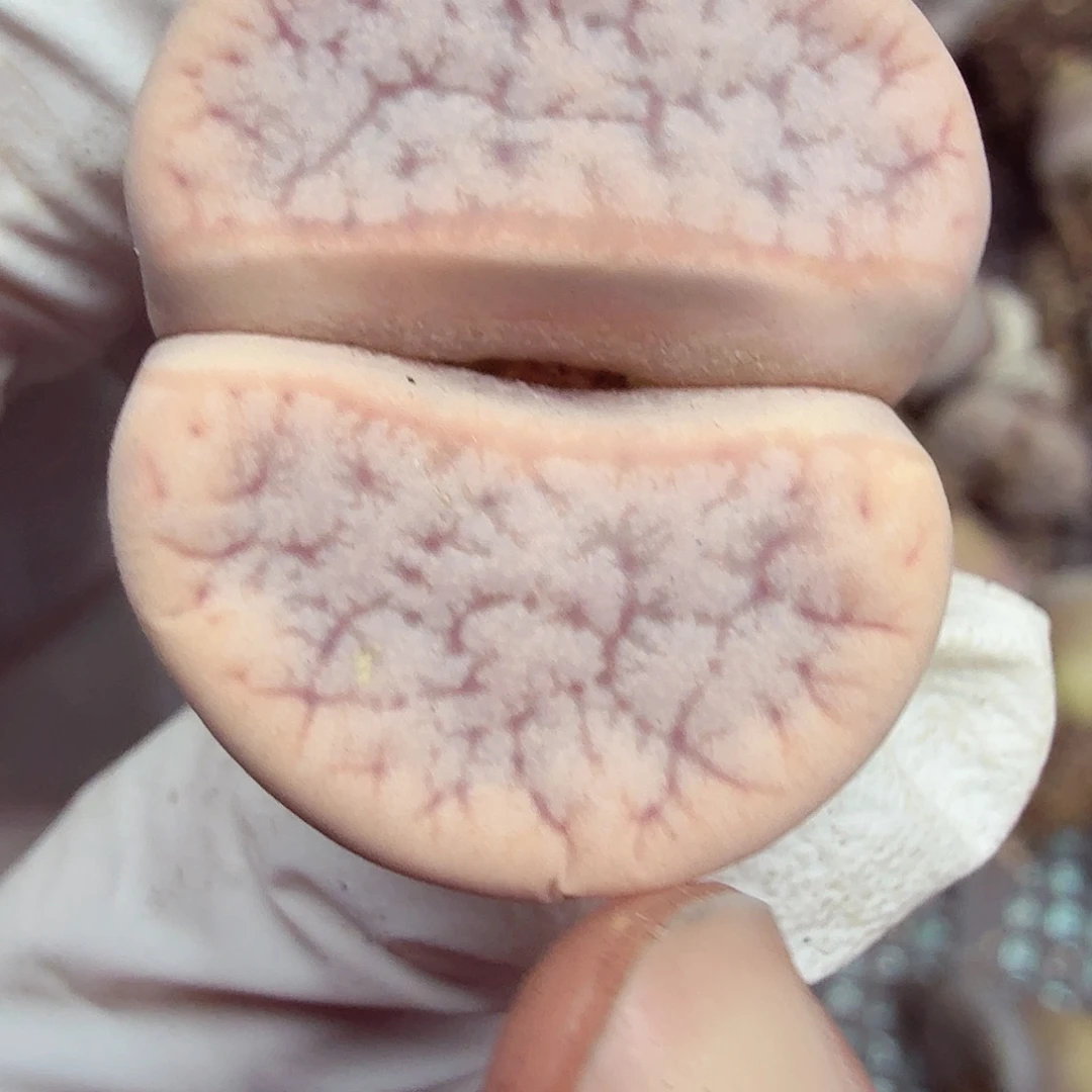 你也可以是那个你051好