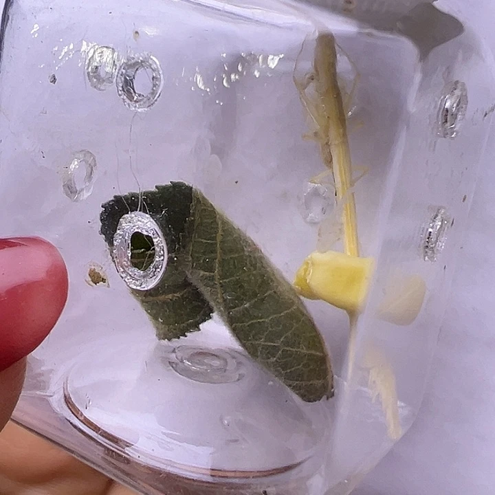 用***5哈哈哈哈哈哈哈哈哈哈哈哈哈哈哈哈