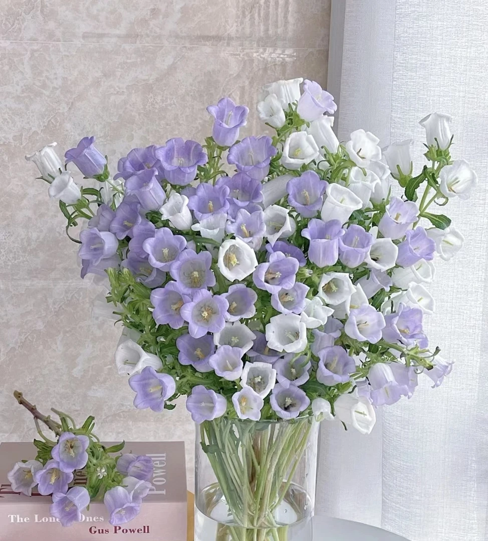 9【花海】风铃花爆花神器云南基地直发