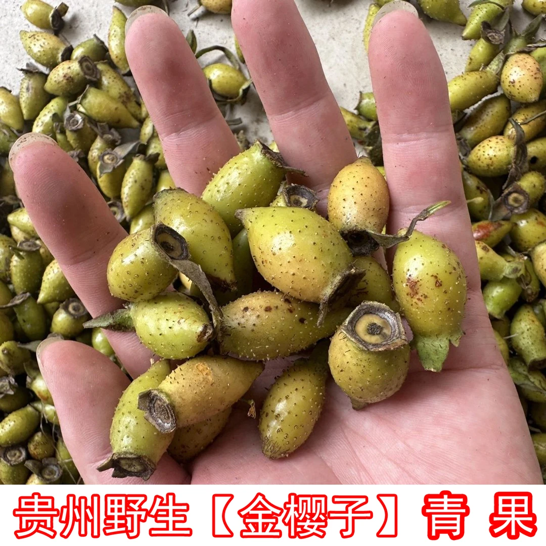 贵州深山采摘新鲜当季可泡酒金樱子青果
