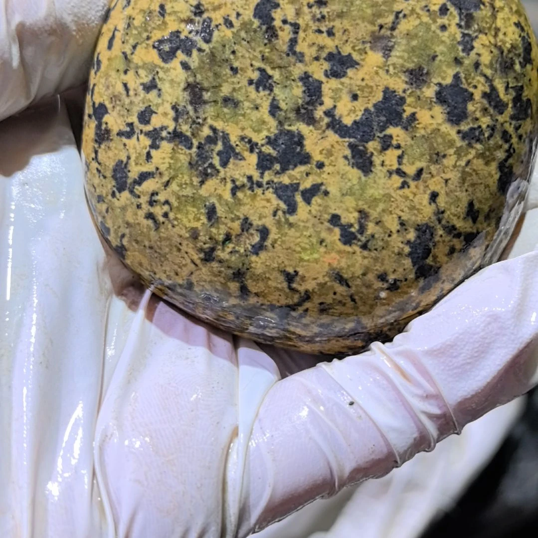 真***叶木藏玉药王石原石