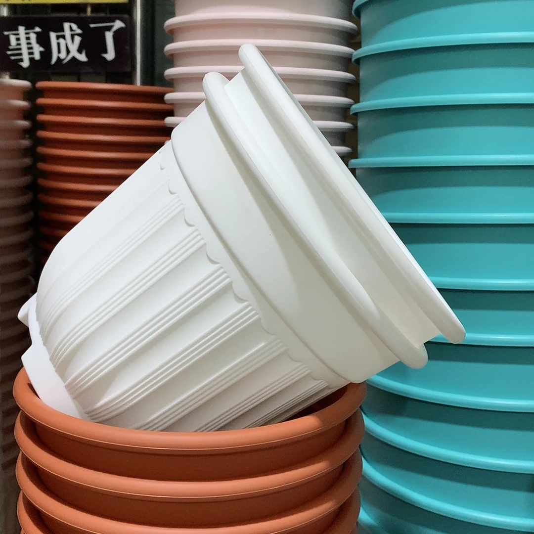 树脂罗马口21白2个无托