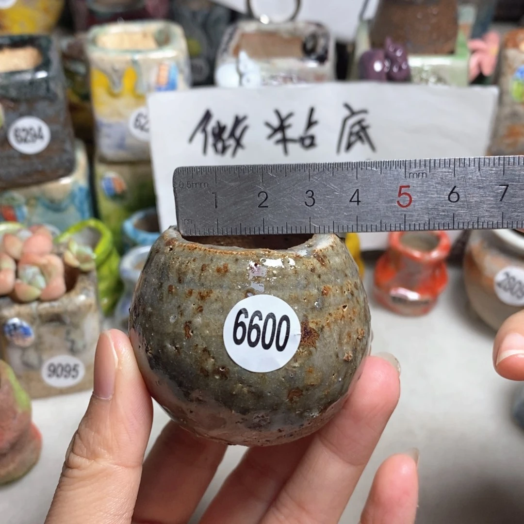 拍5送一个小礼物