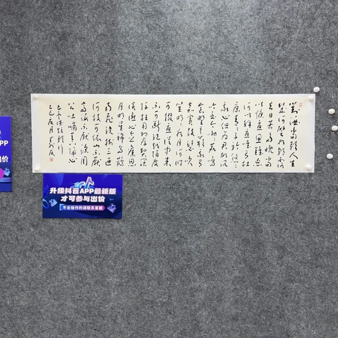 书法书法作品ZSY老师