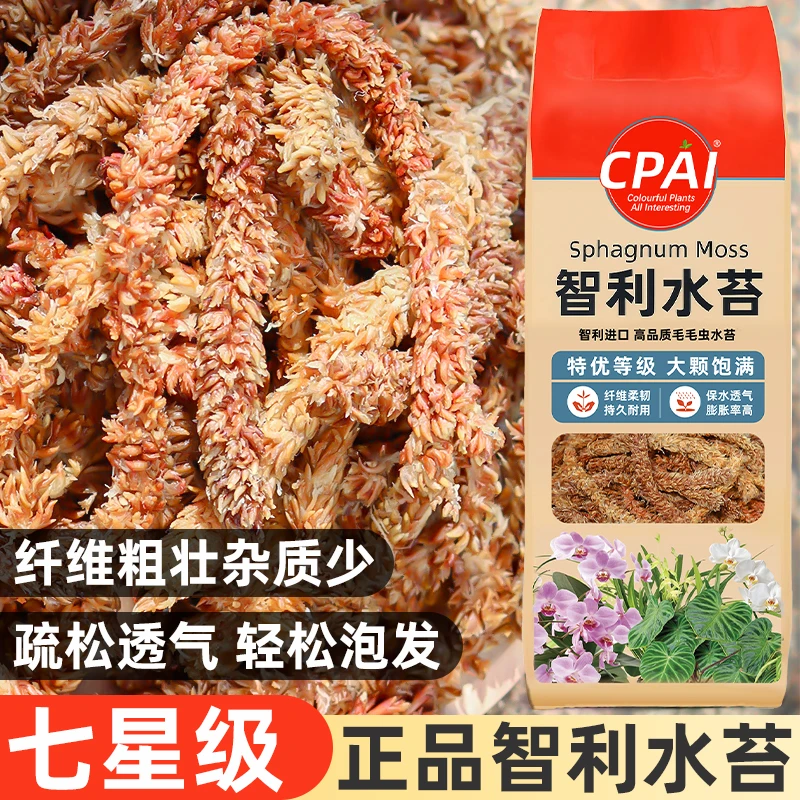 CPAI进口智利基质长条水苔毛毛虫营养土介质干苔藓蝴蝶兰植物专用