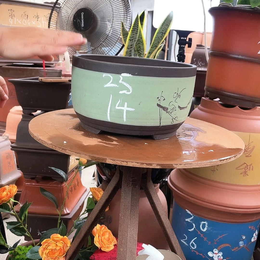 苹果绿萝大花盆紫砂花盆