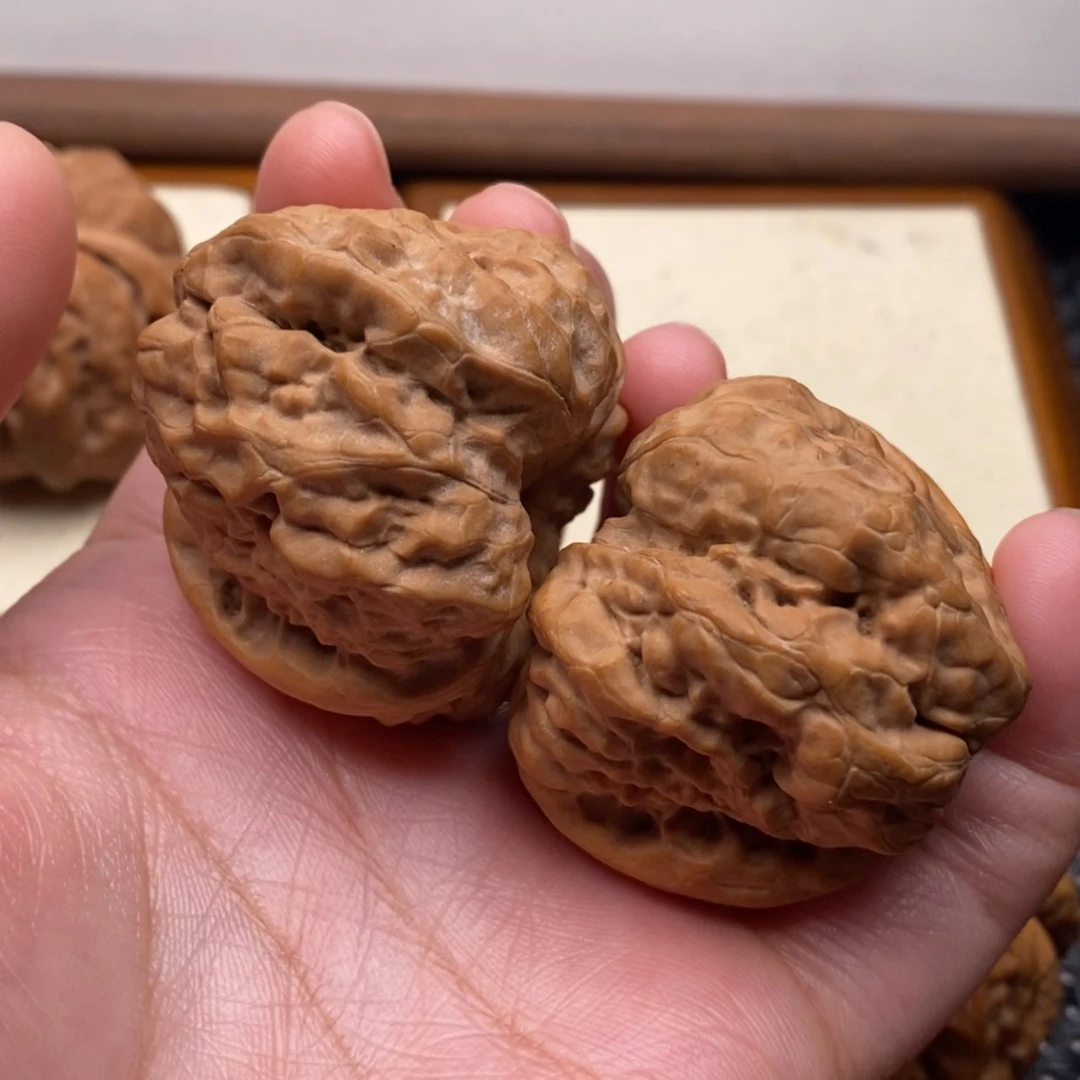 【闪购商品】把件文玩核桃大开背边42肚45左右