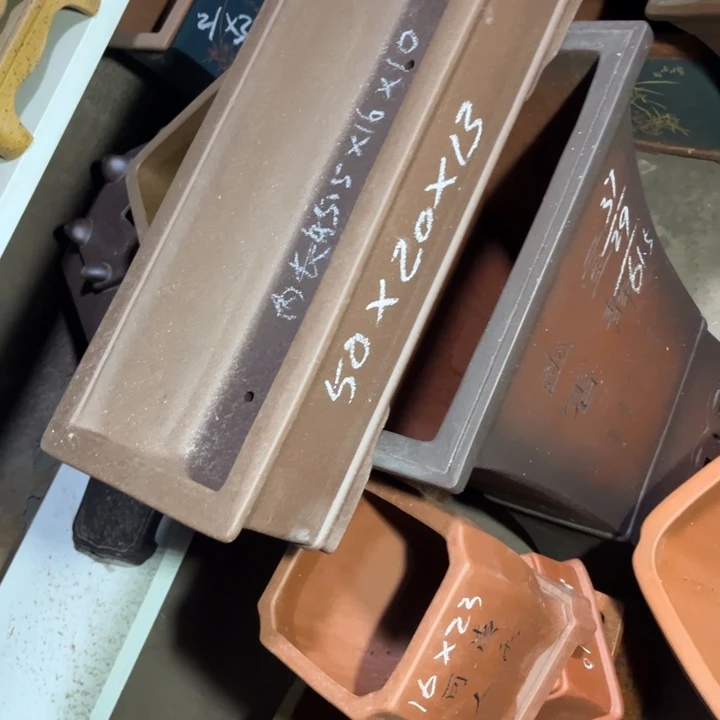 紫砂花盆紫砂花开