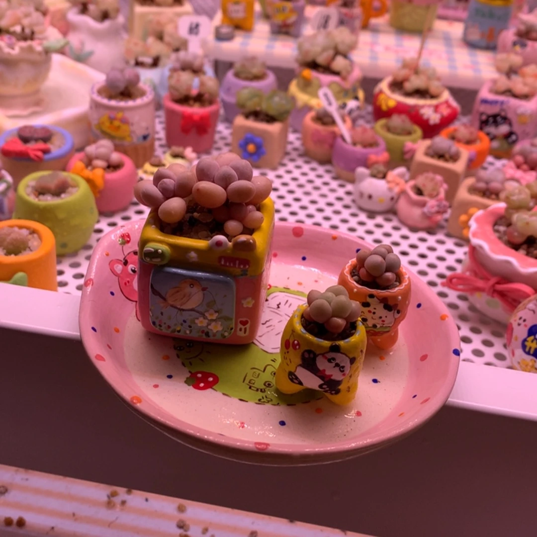 3个盆一托盘发货