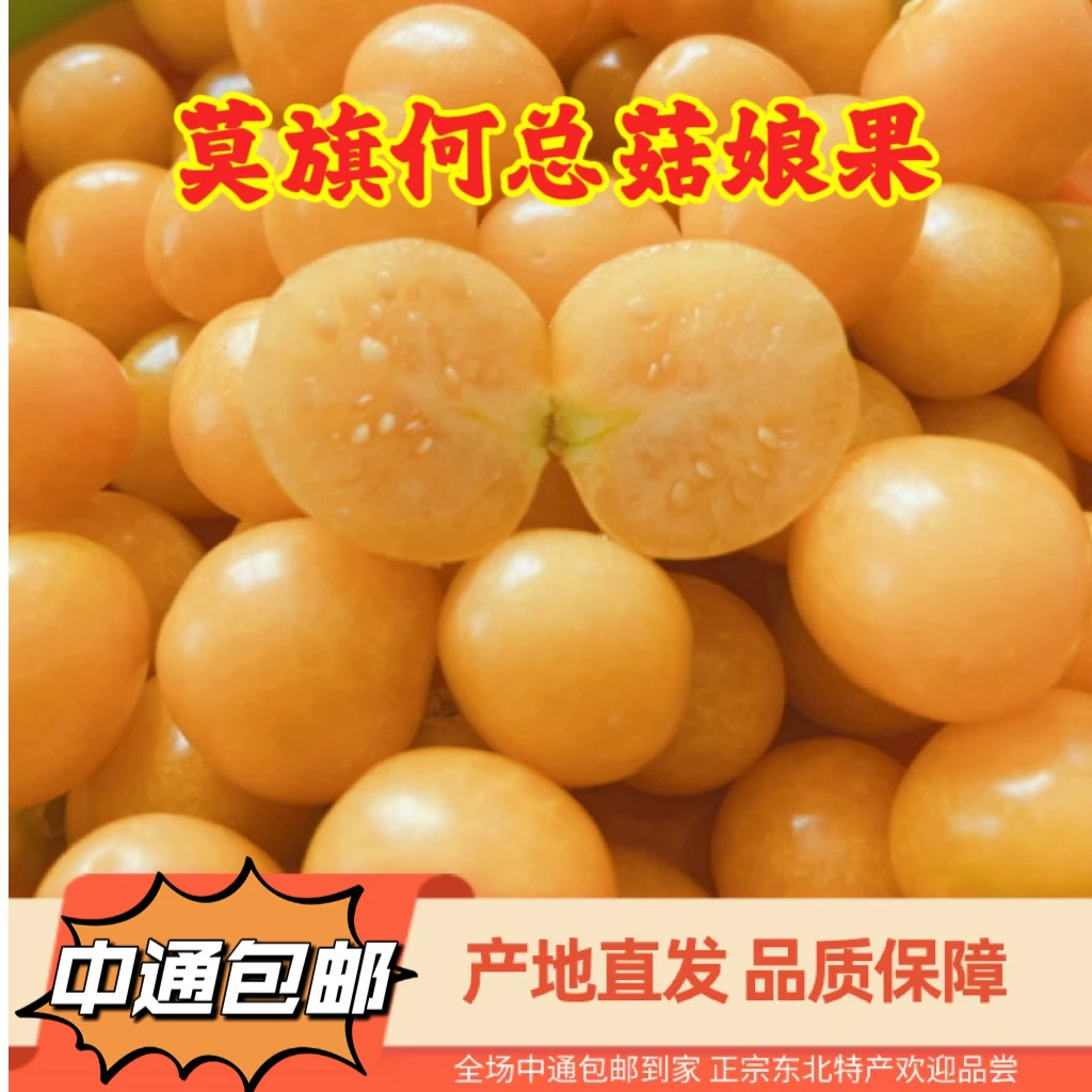 东北特产小菇娘果产地直发香甜爆汁皮薄带箱1-2-3-5斤中通包邮