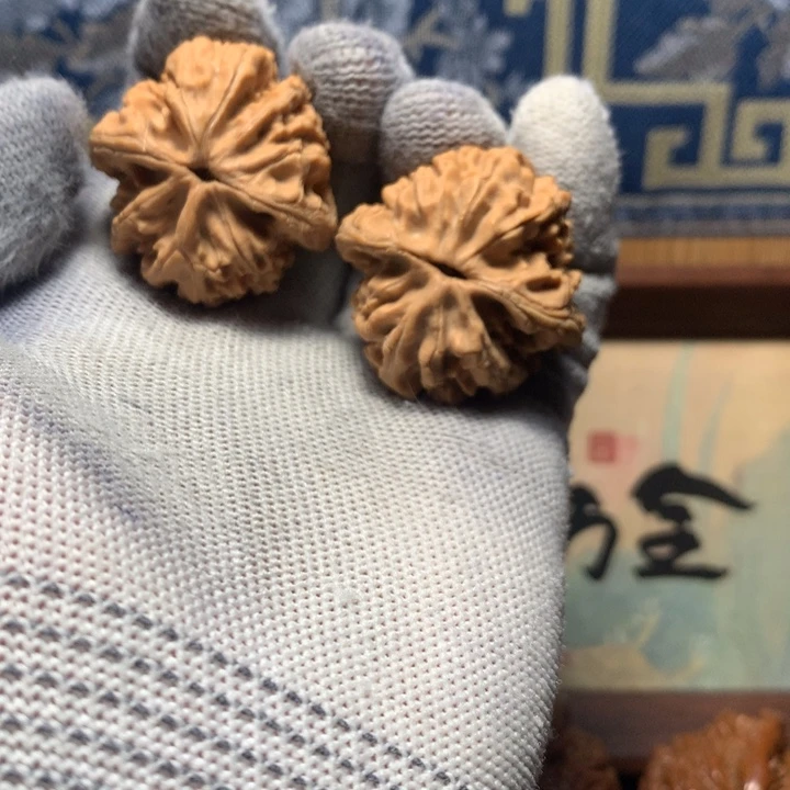 粤***奥哈哈哈哈哈哈哈哈哈哈