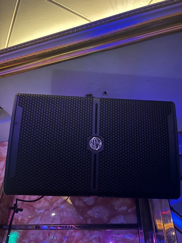 意大利 蝴蝶12寸专业家庭KTV套装 不包邮