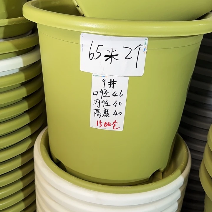 四季9号果绿无托4个特价微瑕