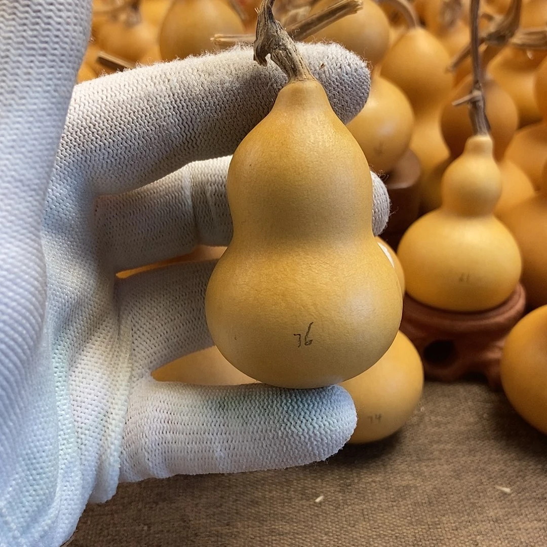 文玩葫芦 完美主义者 慎拍76