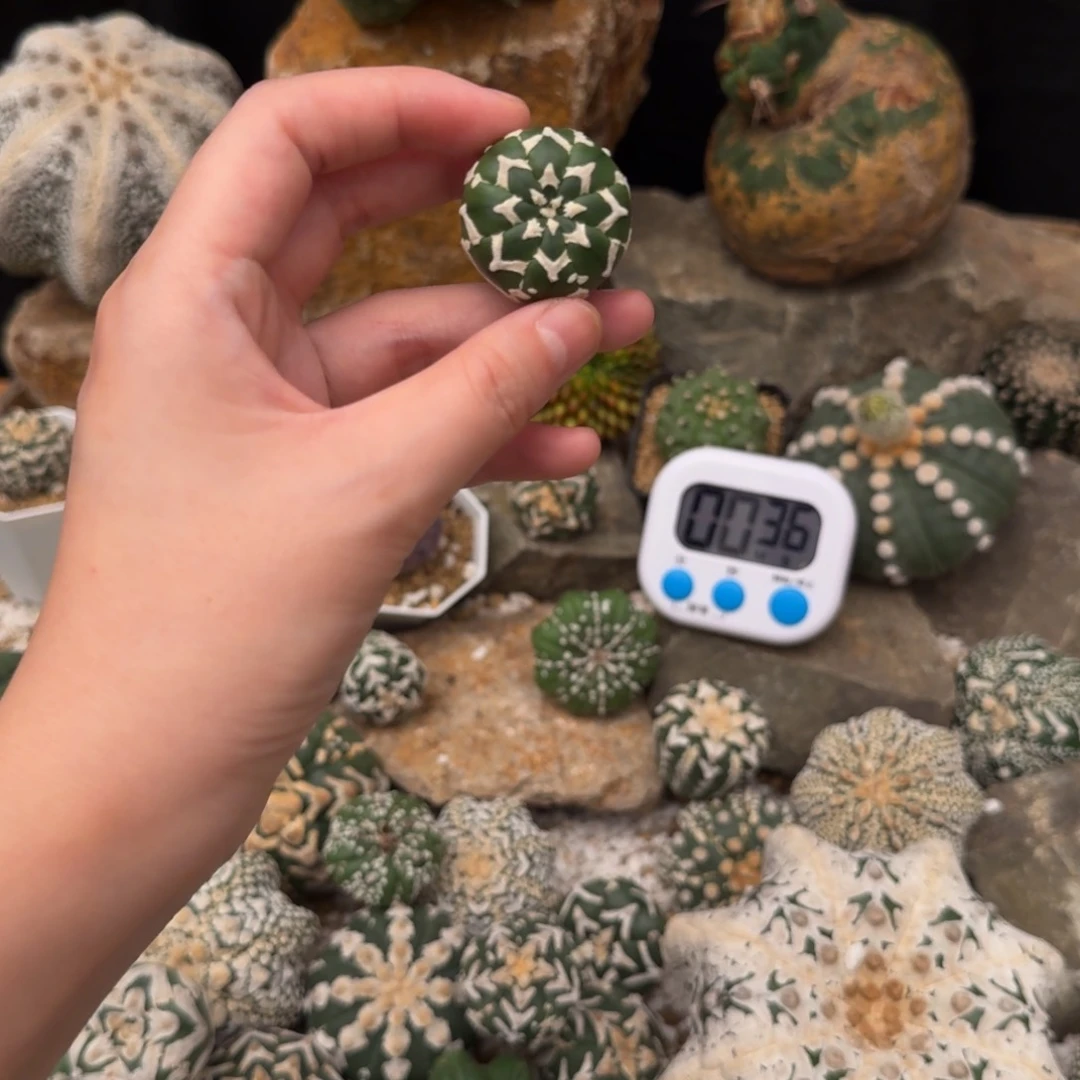 m***iv兜哈哈哈哈哈哈哈